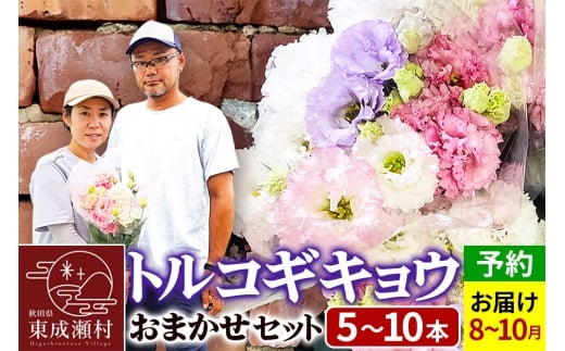 yHczߘa8Nn   gRMLE܂Zbg (5`10{)ys\z ˂͂t@[y2026N8{珇\z