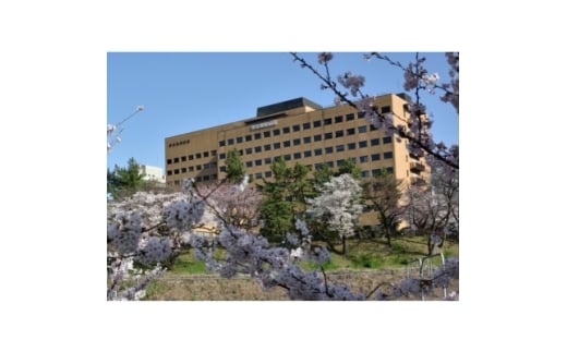 ysczsc恄Ma@lԃhbNMtg/jp  1l  +  ۂ܂̃bNy1686601z