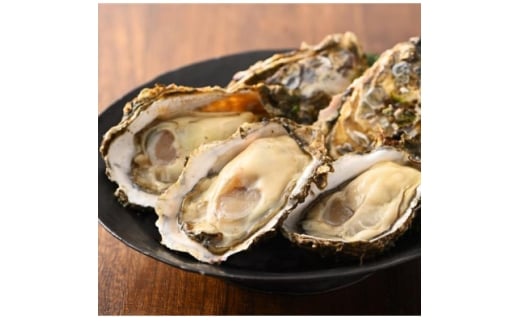 yÉΐszlΎY yuvہvނg 500g×1 `Ṽuhyuvہv` Mpy1691977z