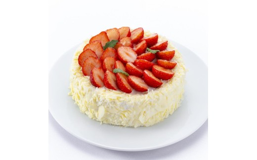 yɌPHsz[5258-0804]GNErW[u䕂̃P[Lv َq ^g Δ t[c VN  JX^[hN[  S Ƃ