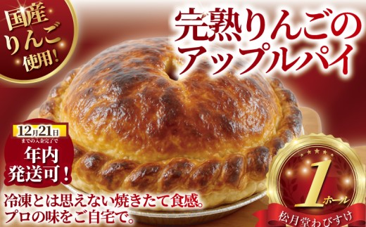 y_ސ쌧szN! (12/21 ϊ܂)AbvpC n 1z[ ɏ Ղς Y Ó쓡򖼕 o }Ⓚ Ⓚ n  S 䙉 t[c