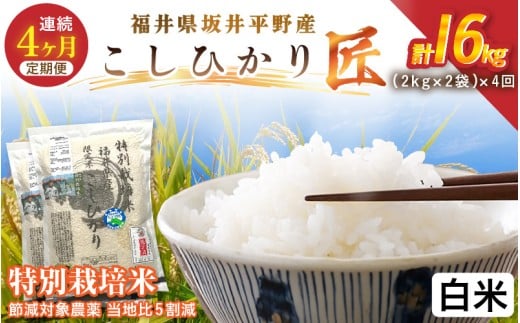 y䌧szy4A͂z ߘa7NY  ʍ͔| RVqJ  4kgi2kg×2܁j×4 v16kg ߌΏ۔_򓖒n5yāzy R  RVqJ ӂ邳Ɣ[ŕ uh