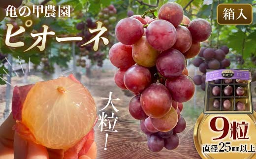 yRRzcszys\E8{ȍ~zy_Ew엿sgpzԂǂ̗ 9ia25oȏjt[c Ԃǂ  uhE sI[l L@ _ R Rzc