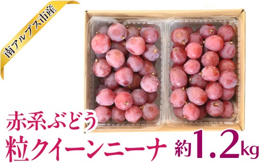 yRAvXsz2026Ns\SDGs@ԌnԂǂ@NC[j[i@1.2kg@2pbN@ALPAJ065@́@ʕ@VN@󏭎@SDGs@󂠂@@Ԃǂ@ Ԍn@