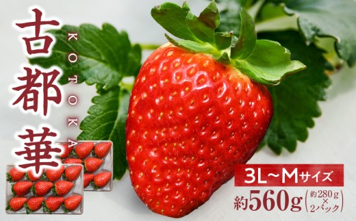 yޗǌszy2026N2`3zuÓs؁v3L`MTCY2pbN@s\ Ƃ Â x Z Z ʏ`  E  C`S  t[c ʕ  J