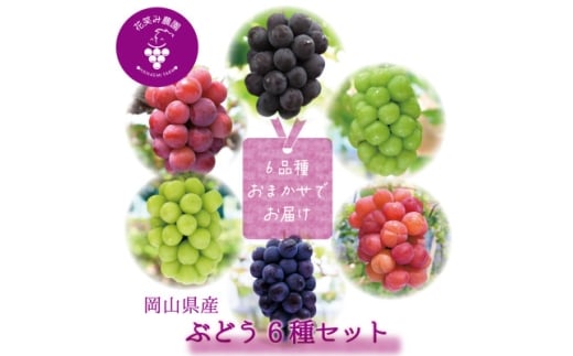 yRÎRsz2026NstR@ԏ΂ݔ_̃uhEwHה6Zbgx6M-5_Ԃǂ  uhE RY ʕ  t[c Mtg Hה Zbg 6 R ÎRs Y