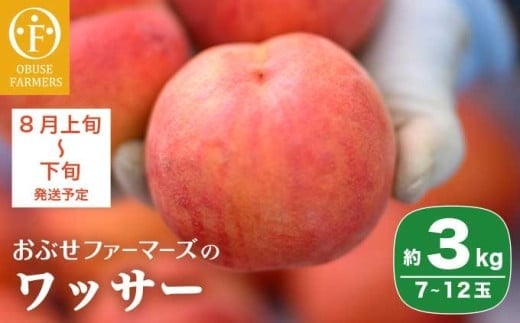 y쌧z{zbT[ 3kg 7`12 mԂt@[}[Ynʕ t[c N[ ① 쌧Y MBY ߘa8NYy2026N8{`{zmF-39n