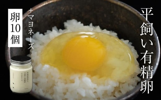 yRqzL 10{IWi}l[YsqtyГ_Xz t-SS-AlEA