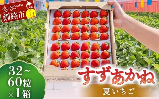 ykCHszs\!y2026N6珇z 32`60×1 Ă p C`S ăC`S ʕ    XB[c P[L t[c kC F5F-0095