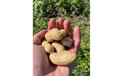 ymLcszmLcsY yԐz 1.5kg