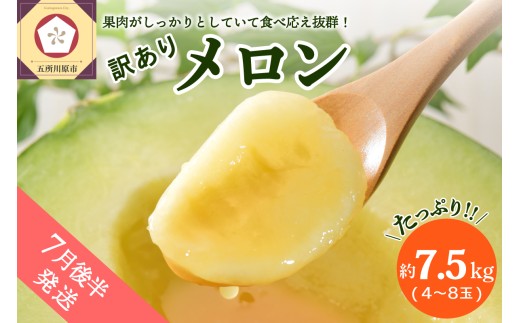 yX܏쌴szy2026N7㔼zy󂠂z 7.5kg XY  4`8