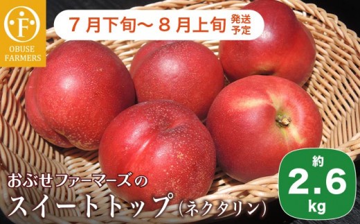 y쌧z{zXC[ggbv 2.6kg mԂt@[}[Yn lN^ ʕ t[c   ① N[  쌧Y MBY  ߘa8NY y2026N7{`8{zmF-53n