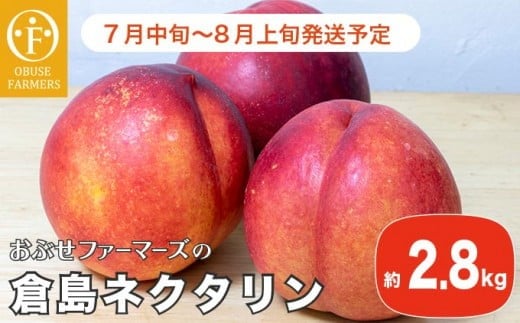 y쌧z{zY qlN^ 2.8kg mԂt@[}[Yns\ lN^ ʕ t[c ① N[ 쌧Y MBY ߘa8NYy2026N7{`8{zmF-