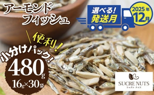 ymɓsziʌjy2025N Nz yɌNK ̂ȃA[h JV[ibc 480g(16g30)   喞 e N h{Lx lC s