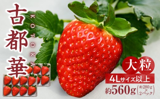 yޗǌszy2026N1zuÓs؁v4LTCYȏ2pbN@s\ Ƃ Â x Z Z ʏ`  E  C`S  t[c ʕ  J 