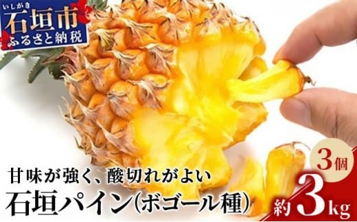 yꌧΊ_szst Ί_pC 3Zbg {S[ 2026N5{ȍ~ | pCibv pCAbv Ί_pC t[c ʕ  썑t[c YpC M