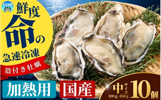 ya̎RݒzY }Ⓚy Mp TCY 10 / y kt CN  JL Ⓚ ymix003z