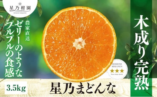 yQlszT݂񉀂 T܂ǂ (3.5kg)D45-63_ ~J  ݂ }hi g܂ǂȓi t[c ʕ  k k lC  Q ls ӂ邳