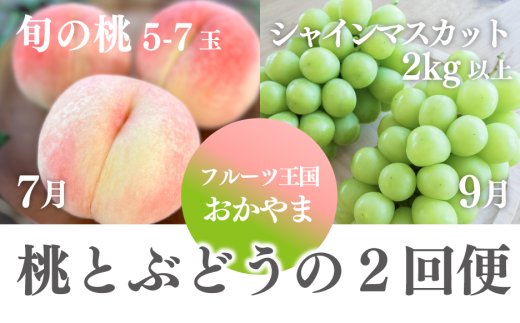 yR^szy2026Ns\zHׂI{ƃVC}XJbg̖ () (RY) / 79 yKF-T061-01z