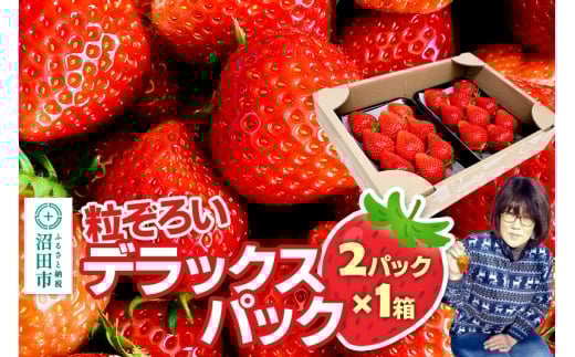 yQncszs2026N1{`2{t낢u悢Ђ߁vfbNXpbN 12pbNi280g×2jR  C`S 