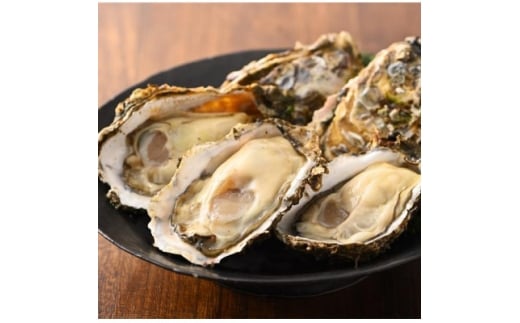 yÉΐszlΎY yuvہvނg 500g×2 `Ṽuhyuvہv` Mpy1691978z