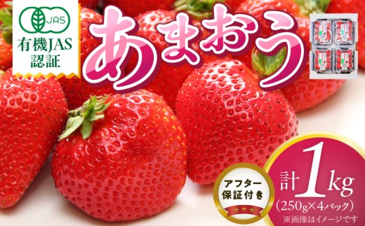 yvĎszL@܂250g×4pbN _ L@ ܂ 250g 4pbN v 1000g I[KjbN  Xgx[ ʍ͔| F At^[ۏؕt S S ₳Â  W[V