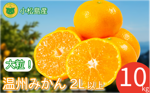 ysz݂  B݂10kg 2Lȏ ݂  ~J IW t[c ӂ[ ʕ  s