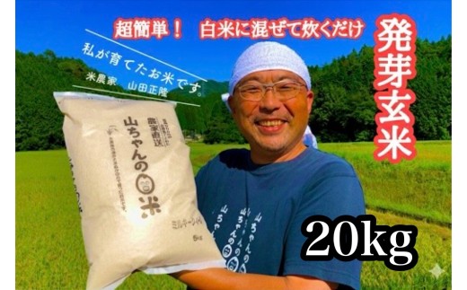 y򕌌SÒzy101Jnz_ƒwR̔茺āx20kg (540)