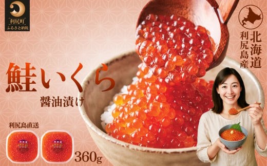 ykCKzKY ݖЂ 360g(180×2pbN)bVRCN  ݖ kC Y [1110006]