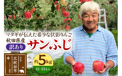 yHckHcsz HcY Tӂi󂠂j ue񂲁v 5kg (12`23ʓ)