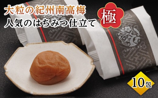 ya̎R݂Ȃגz嗱̋IB썂~ lĈ݂͂dāuɁv10 shokibai001B@mSB1n