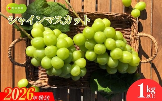 yszNo.1980Ԃǂ@uVC}XJbgv1kgy2026N s\z