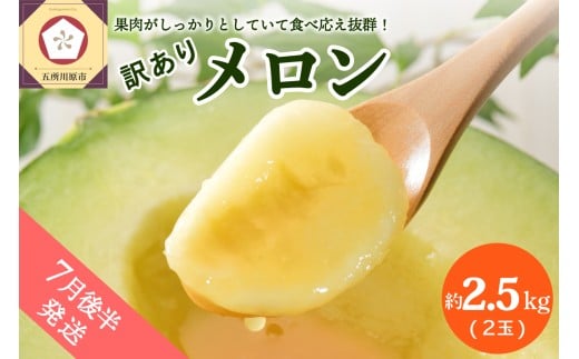 yX܏쌴szy2026N7㔼zy󂠂z 2.5kg  2 XY