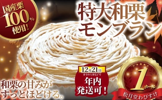 y_ސ쌧szN! (12/21 ϊ܂)u 1z[ Ԃ  TCY Ó쓡򖼕 YI 100 gp o }Ⓚ P[L fU[g aI I } N[