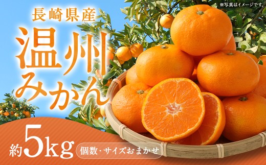 長崎県産 温州みかん 5kg (個数・サイズ おまかせ) ／ フルーツ 果物