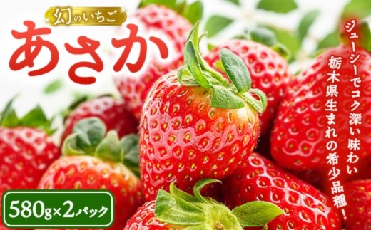 数量限定》幻のいちごあさか15粒（580g×2パック） ｜ いちご イチゴ 苺