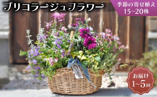 リゾートフラワー 和風プリザーブドフラワー 日本の四季 富士（春・夏・秋・冬