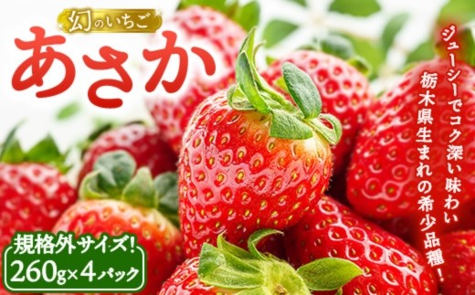 数量限定》幻のいちごあさか規格外サイズ（260g×4パック） ｜ いちご