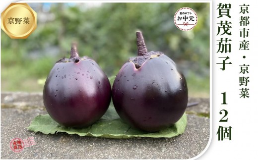 ys{sszys\E2026N7zuh؁EΉ֎qiȂj12 3kg