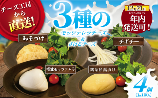 y_ސ쌧szN I ( 12/21ϊ܂) `[Y bc@ 3{ `M`[ `[Y 4Zbg ɐ ݒЂ XЂ `M`[ bc@`[Y 􂯂`[Y [ i