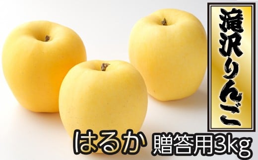 y茧sz茧Y  p 3kg ͂邩  8  11 yRcʎz S ь Abv 3L Rkg ʕ  t[c fU[g p d Gߌ Ԍ