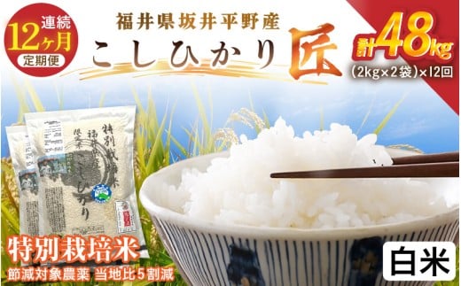 y䌧szy12A͂zߘa7NY ʍ͔| RVqJ  4kgi2kg×2܁j×12 v48kg ߌΏ۔_򓖒n5yāzy R  RVqJ ӂ邳Ɣ[ŕ uh