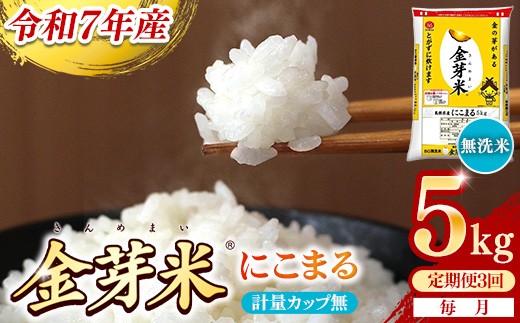 yszBGāEĂɂ܂ 5kg×3 ցyzvʃJbvyߘa7NY 3 Z N  BG  v15kg Y ߐ Z AEghA Lv mCX 