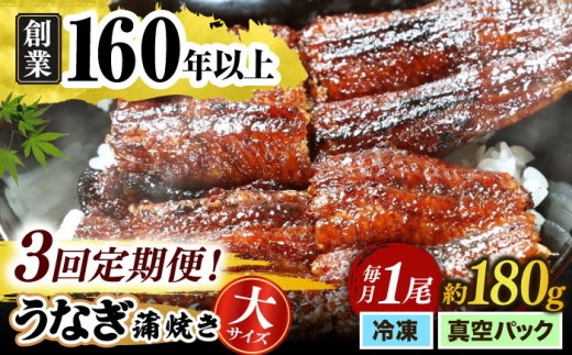 y򕌌szyȂz y3ցz YΏ Ȃ̊Ă 1 yIBYgpz V EiM N̓?s/Ȃ [TFO004]