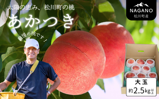 y쌧쒬zKM013-26A ys\z   2.5kgȏi6ʁj^2026N7{`z\ // 쌧 MB 쒬   Yn VN   Â 3kg ① N[ 