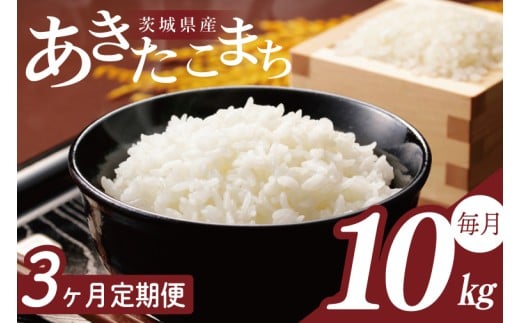 y錧sszy2026N2菇zy3ցzR7NY ܂ 10kgb    R7NY ߘa7NY ܂  錧 錧Y ss(HA-31)