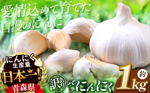 yXZ˒zJ-06 XY 󂠂o ɂɂ i 1s j| jjN 킯 P e ǂ  Ղ  Y Yn    K[bN XpCX A