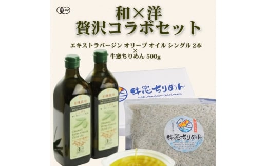 yR˓szL@I[uIC×˓߂ga×mhґR{Zbg I[KjbN   I[u Hp ߂񂶂Ⴑ  ߂ ˓CY [5735-3478]