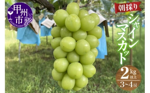 yRbBszy_ƒzyN[ւł͂zVC}XJbg 2kgȏi3`4[jy2026NziABEjC-910yVC}XJbg  Ԃǂ uhE ߘa8N Ԍ R