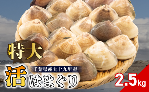 ytszVR ͂܂ 100-140gTCY 2.5kg  ͂܂   ① \㗢Y  L  CN L L o`  X`  O^ \㗢l j j ЂȂ